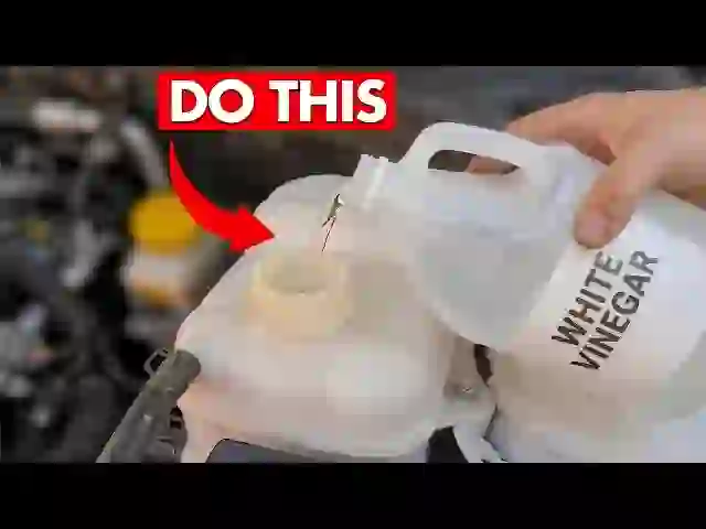 Protect Your Engine in Just 15 Minutes a Month: 9 Pro Maintenance Hacks