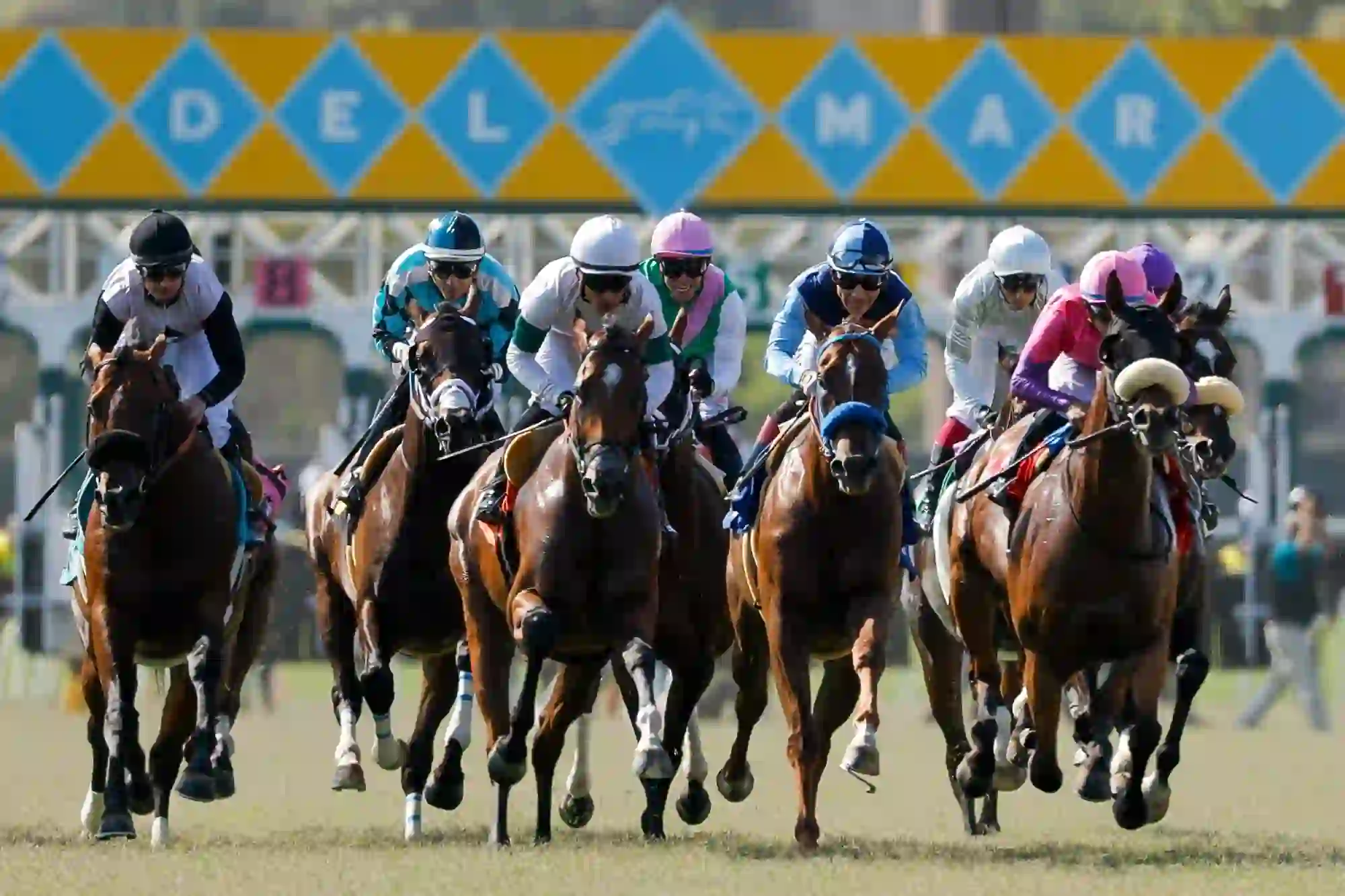 Del Mar Saturday Betting Guide: $148,537 Pick 6 Carryover, Yellow Ribbon & Best Pal Stakes